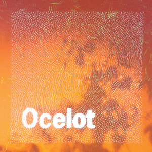 Ocelot cover