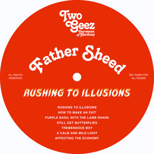 Rushing to Illusions cover
