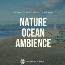 California Ocean Sounds The Wedge Newport Beach USA cover art