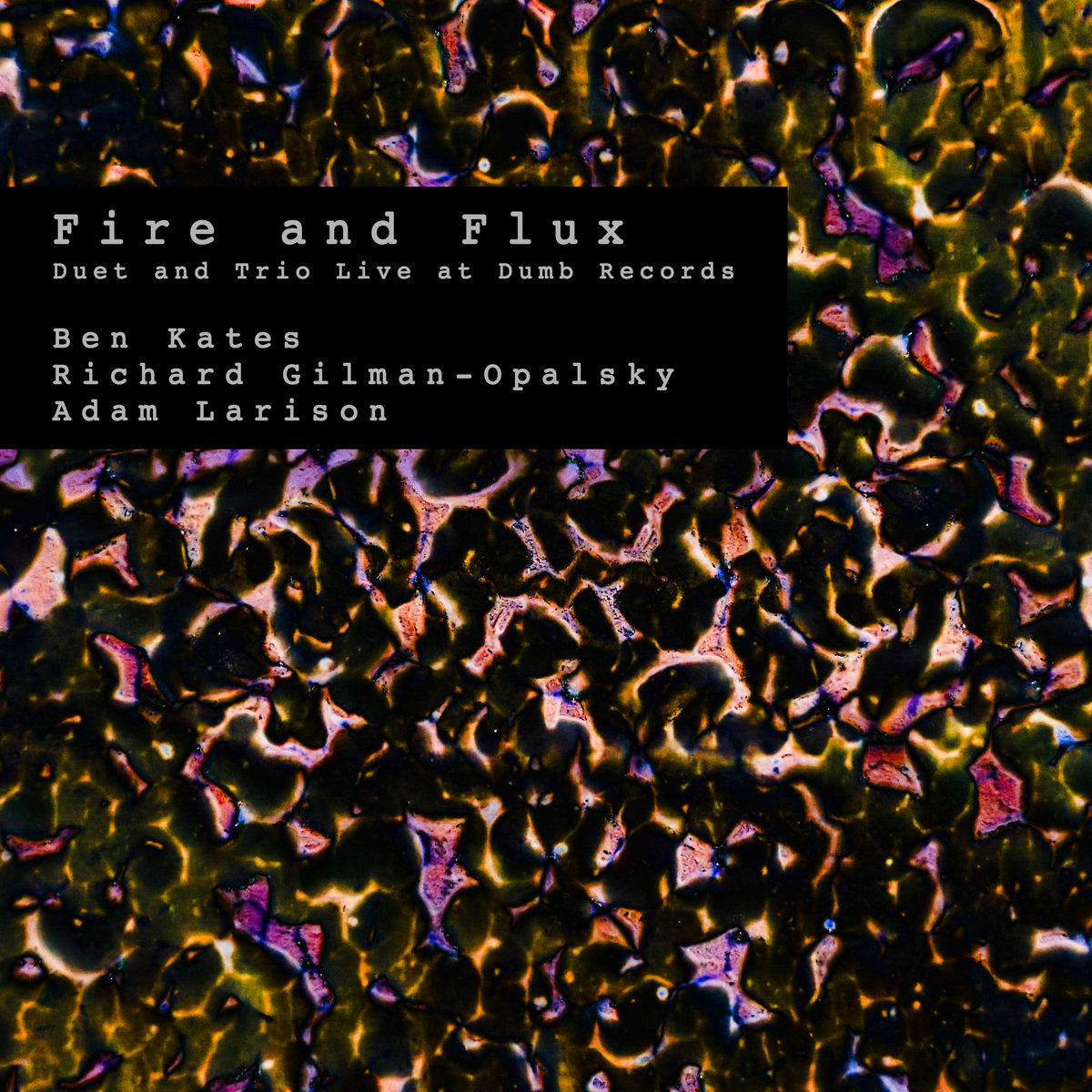 Duet and Trio Live at Dumb Records | Fire & Flux | Relative Pitch
