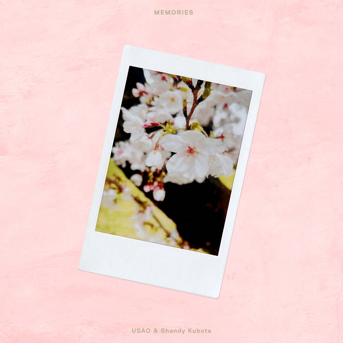 邦楽 SPEED MEMORIES SPECIAL PHOTOBOOK SPEED MUSIC BOX -ALL THE MEMORIES- - メルカリ