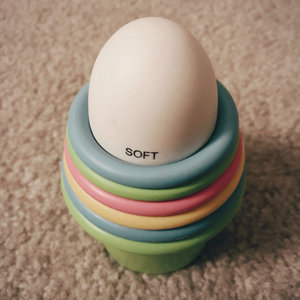 government soft cover
