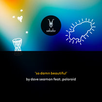 Dave Seaman feat Poloroid — Dave Seaman feat. Poloroid - So Damn Beautiful - Selador