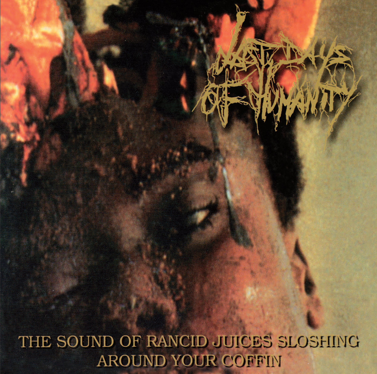 last days of humanity extreme goregrind