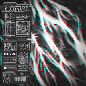 Beautiful Existence- Guidance w/ PresshaFoundation Collective Records cover