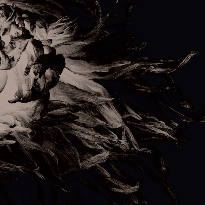 Pochette de MOTHS par Olen'K