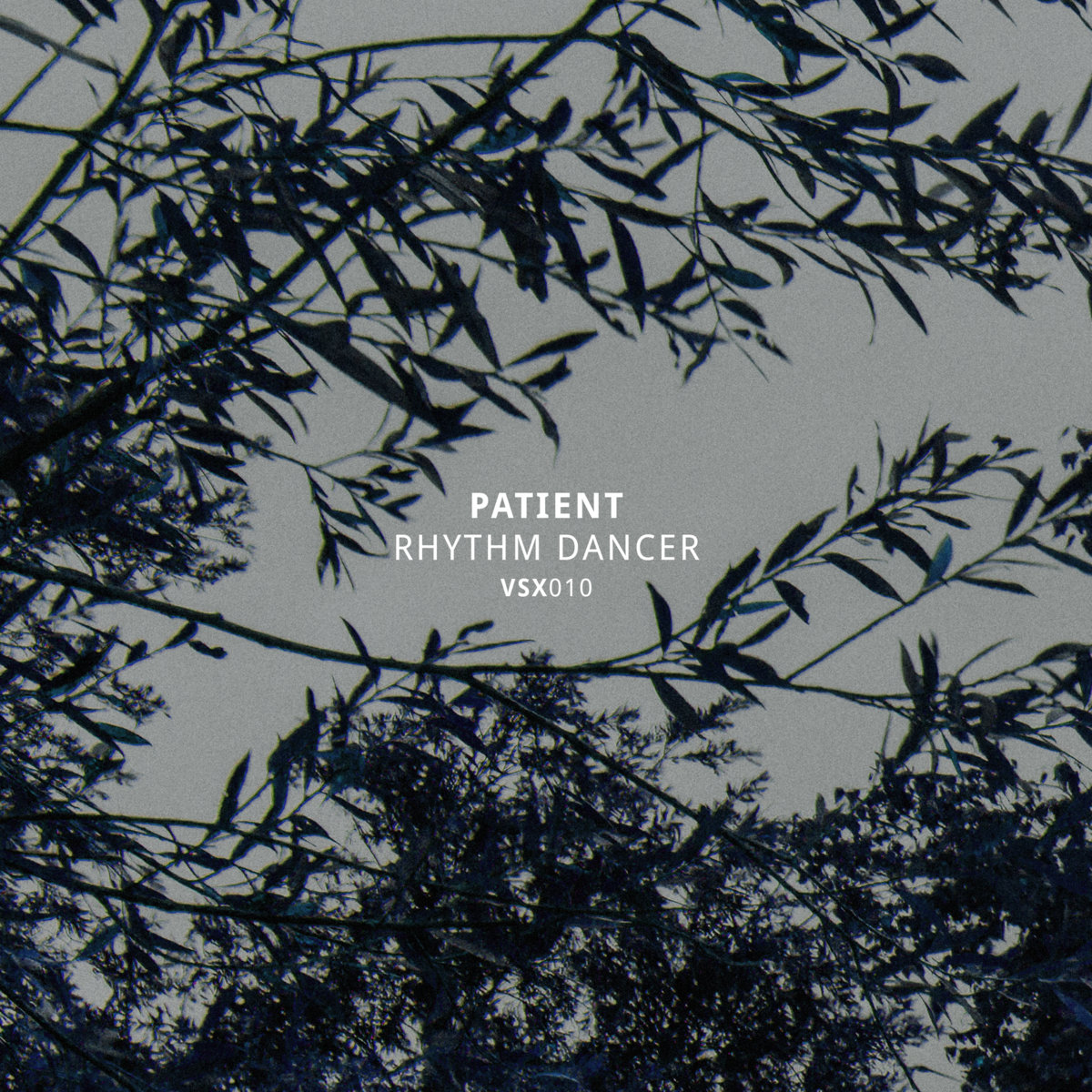 見本盤 Ponta + Kamiya Rhythm Ware 病気 レコード Rhythm Dancer EP | Patient | Vault Records