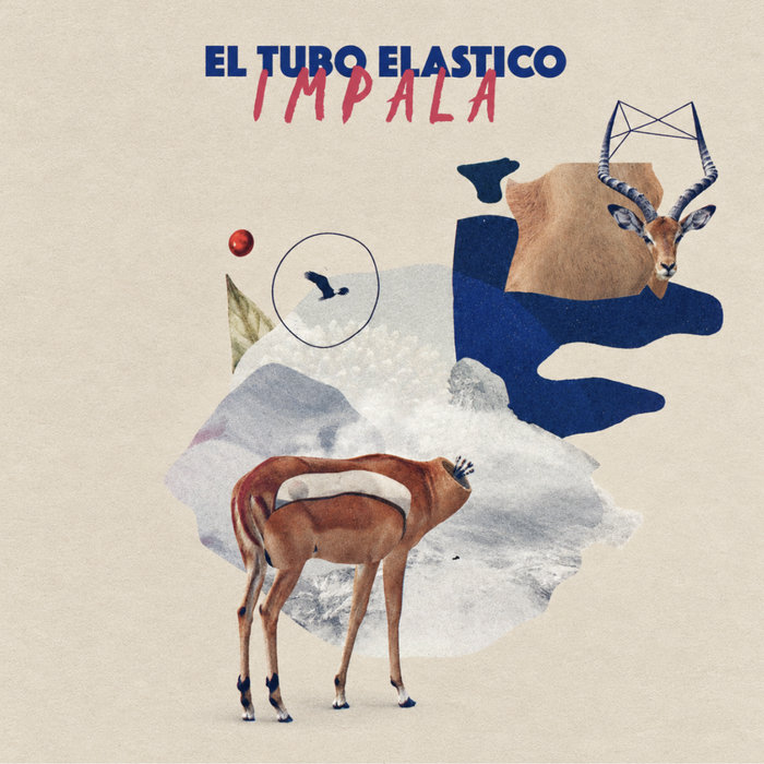 Pochette de IMPALA (Expanded Edition) par el tubo elástico