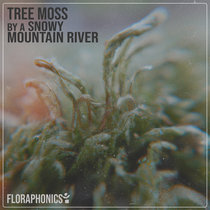 Tree Moss by a Snowy Mountain River cover art
