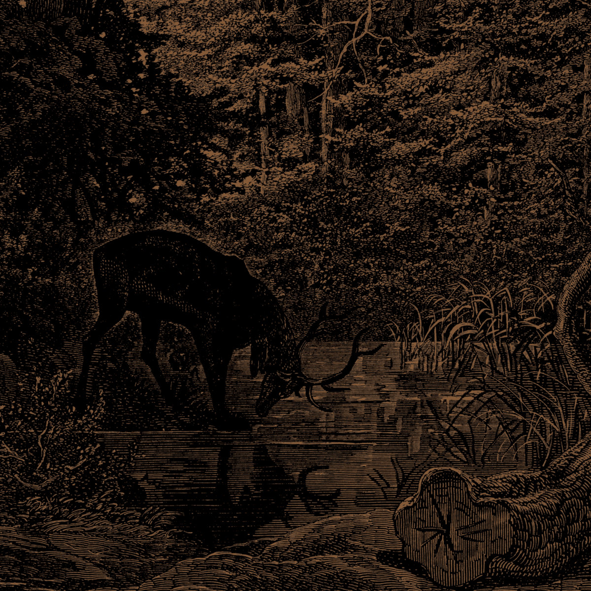 Agalloch / 3rdアルバム Agalloch / 3rdアルバム Agalloch / 3rdアルバム