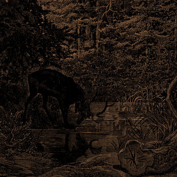 特価商品  Music AGALLOCH | 洋楽