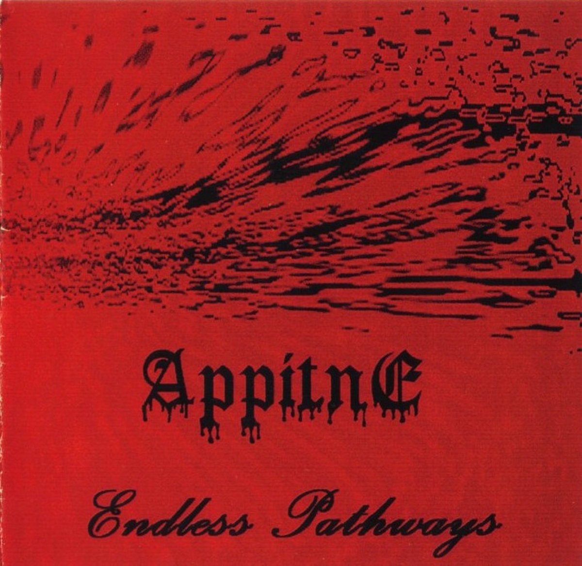 APPITNE - Endless Pathways (Demo 2001) cover