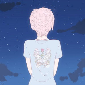 Halcyon cover
