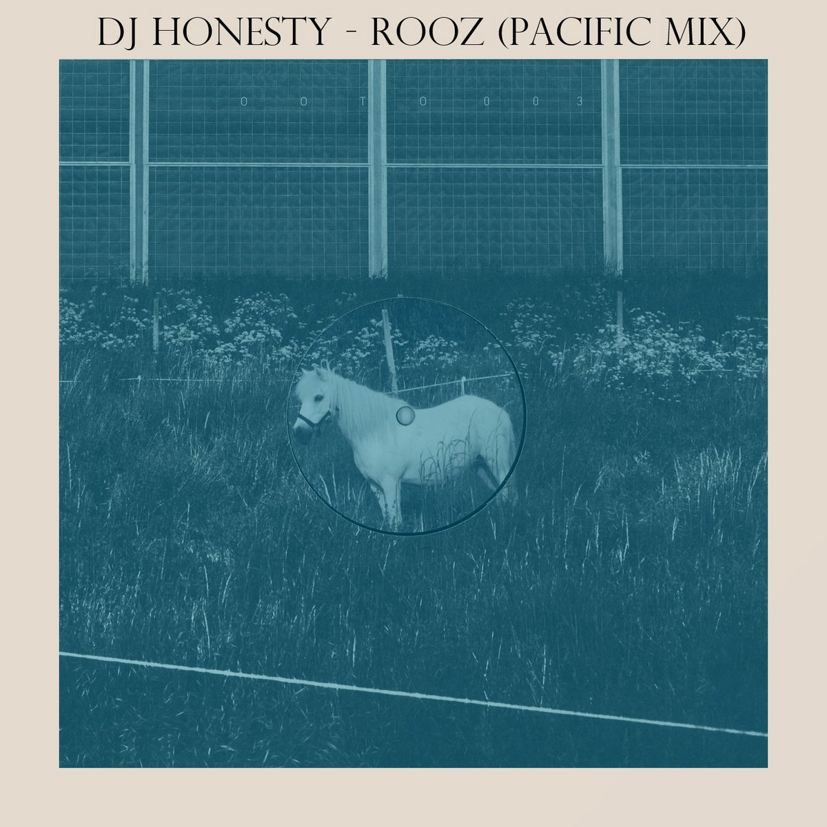 A Horse With No Name | DJ Honesty