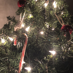 Jeff Schroeder — Joyful Joyful
