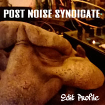 Post Noise Syndicate cover art