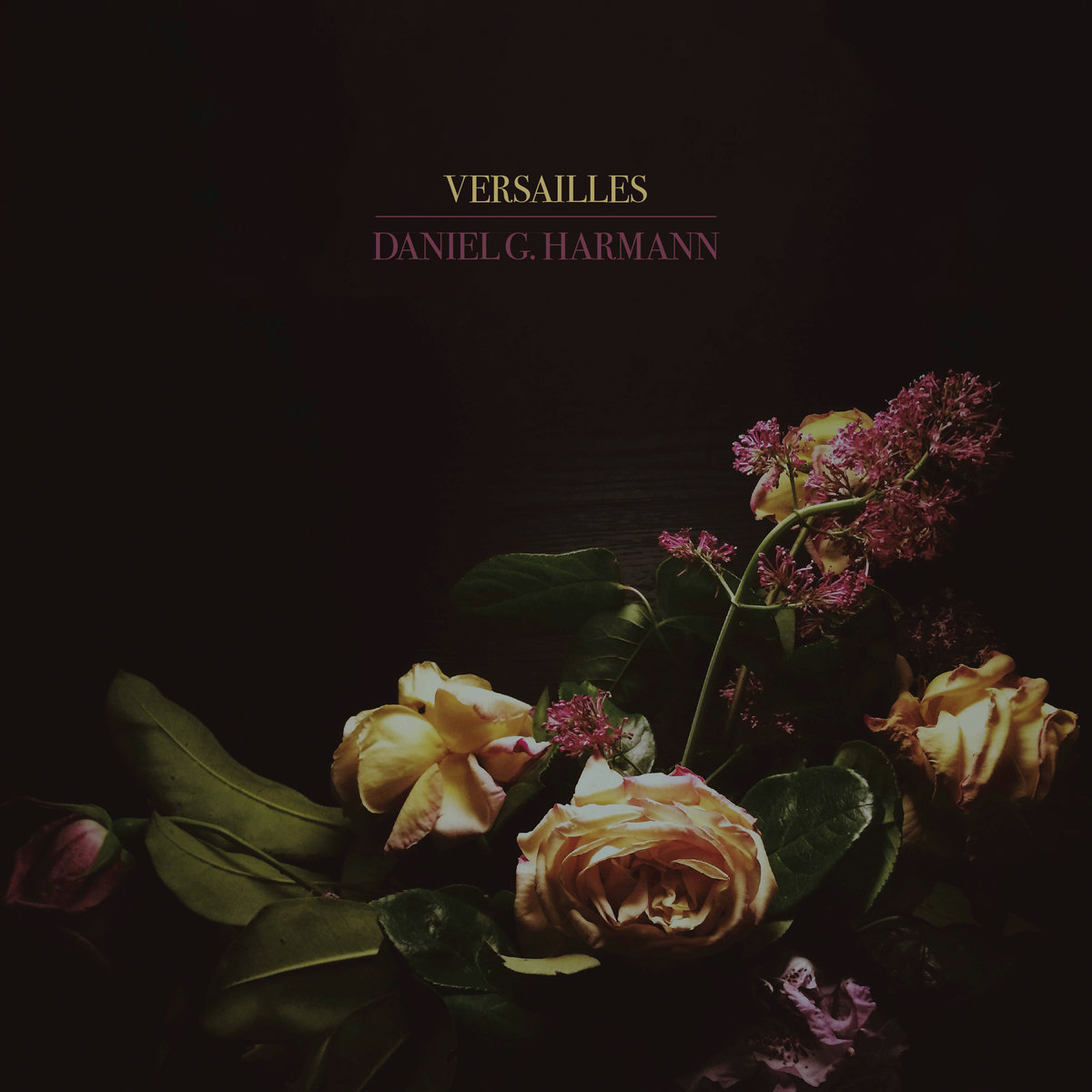 Versailles | Daniel G. Harmann