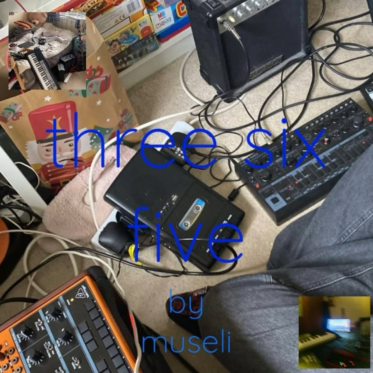 three six five by museli cover