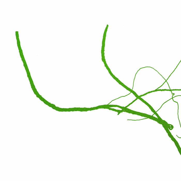 本/CD/DVD Mileece / Formations Formations (Lo30) | Mileece | Lo Recordings