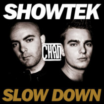 Showtek - Slow Down (Chan Remix) cover art