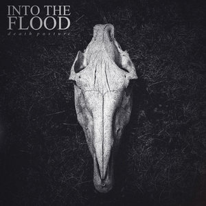 Death PostureInto the Flood cover