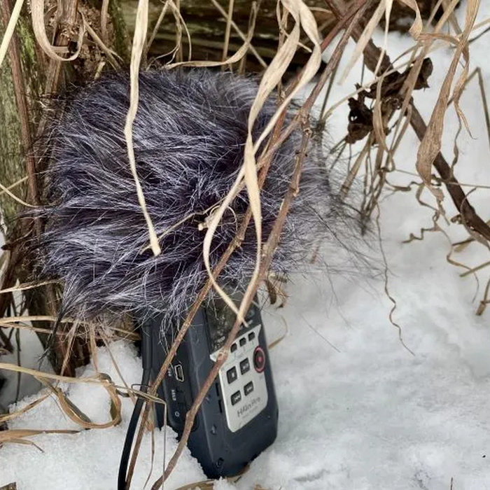 Winter Diary | R. Murray Schafer & Claude Schryer | The Listening Room