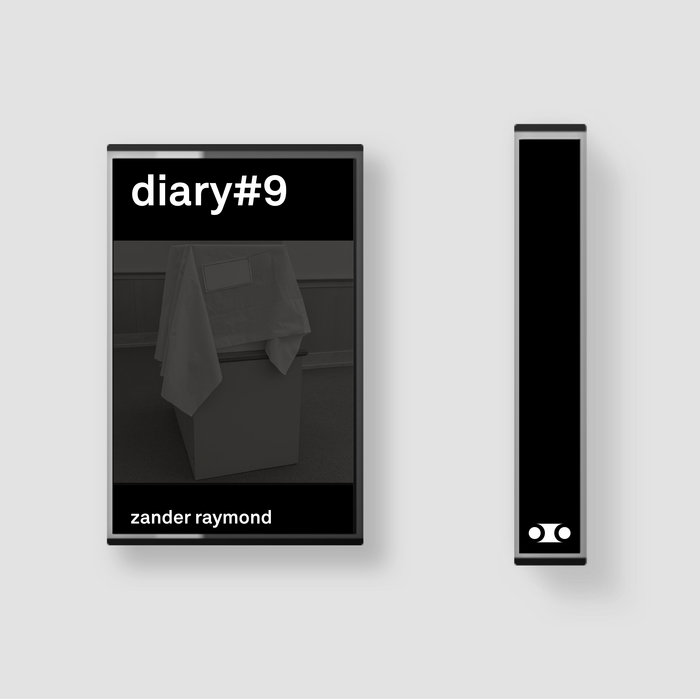 diary#9 | zander raymond | sonic-dialogue