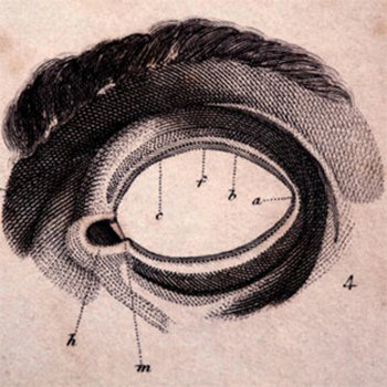 a3004045906_2.jpg
