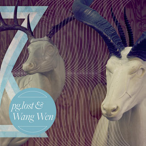 pg.lost / Wang Wen split cover