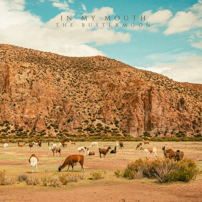 Pochette de In My Mouth par The Bustermoon