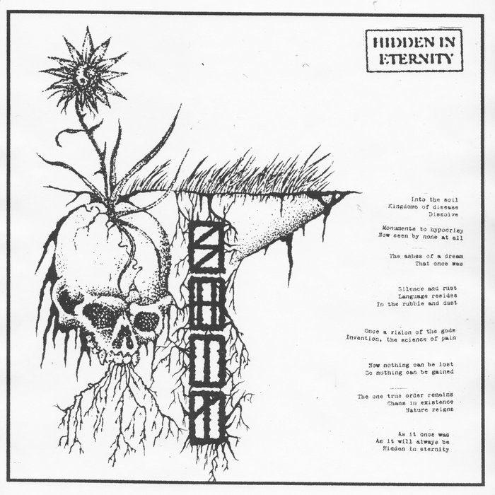 Hidden In Eternity | S.H.I.T. | LA VIDA ES UN MUS DISCOS