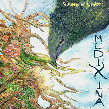 Album artwork for MediXina