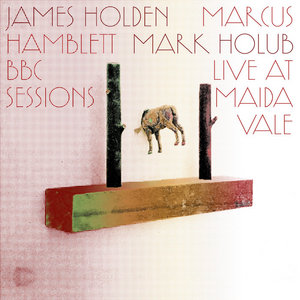 BBC Sessions: Live at Maida ValeJames Holden, Marcus Hamblett and Mark Holub cover