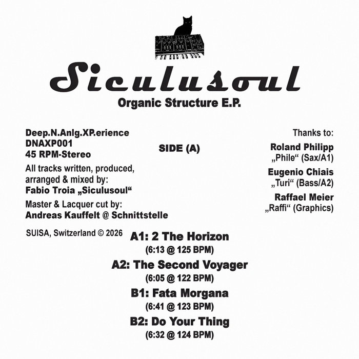 Pochette de Organic Structure E.P par Siculusoul