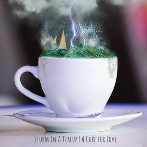 Storm in a Teacup cover