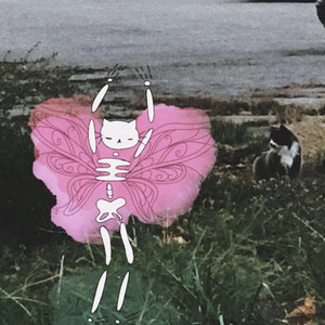 cicadahead — songs for bugs