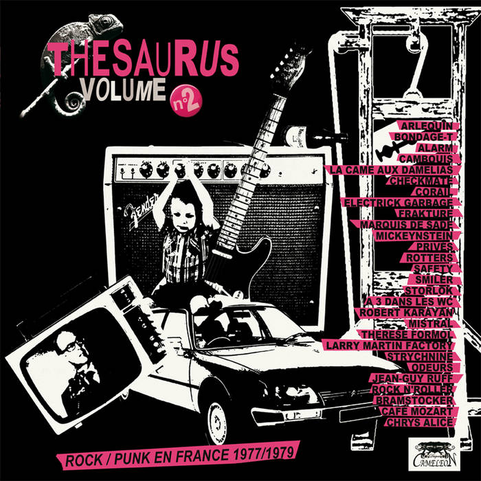 THESAURUS VOL.2 VARIOUS ARTISTS / CAME57 Cameleon records