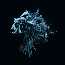 ghost love you album ghost love you album