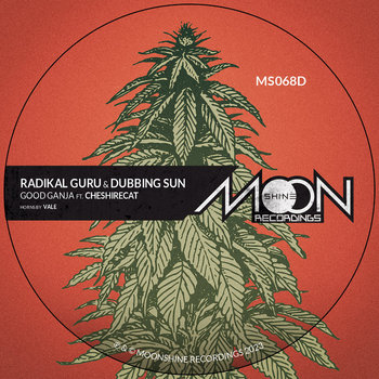 Beyond The Borders | Radikal Guru | Moonshine Recordings