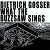 What the Buzzsaw Sings Cover Art