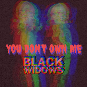 You Don't Own Me cover