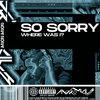 So Sorry Where Was I?