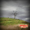 The Tree on the Hill