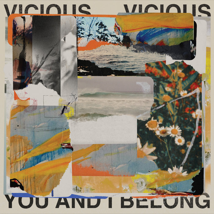 Pochette de You and I Belong par Vicious Vicious