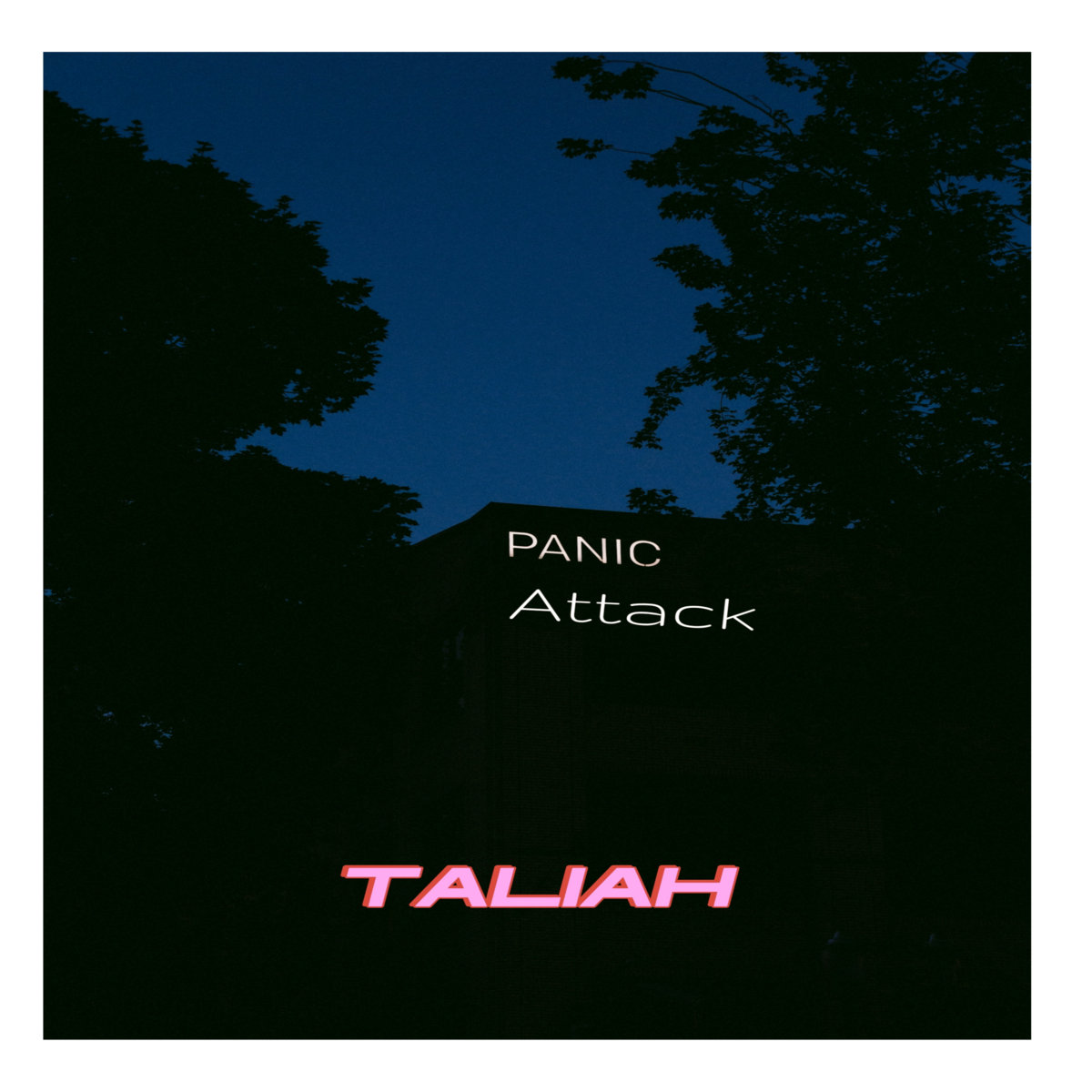 Panic Attack Taliah panic-attack-taliah