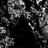 Sembre [Side Two]