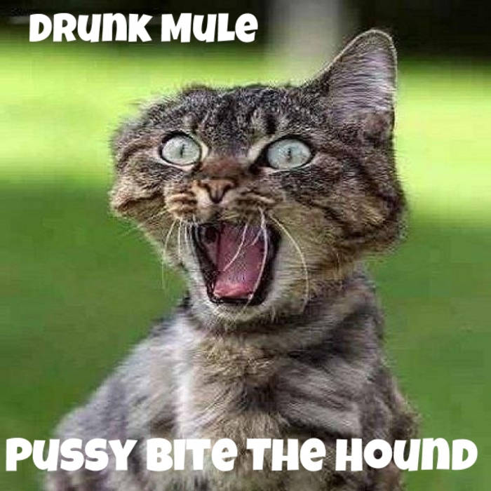Mule Pussy