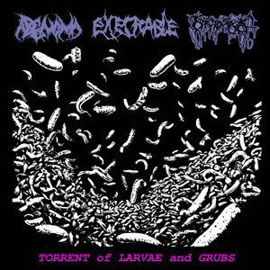 Split with Adenoma and Execrable cover