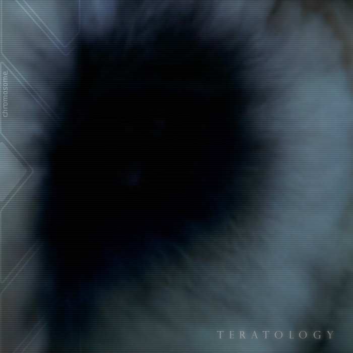 Teratology Yy Chromosome Teratology Yy Chromosome