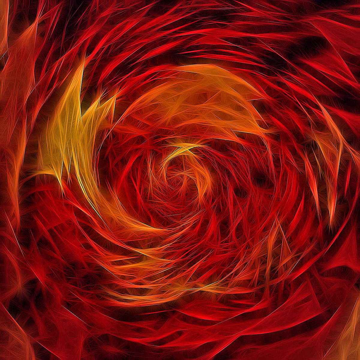 Light My Fire The Doors Cover Dharma Fire